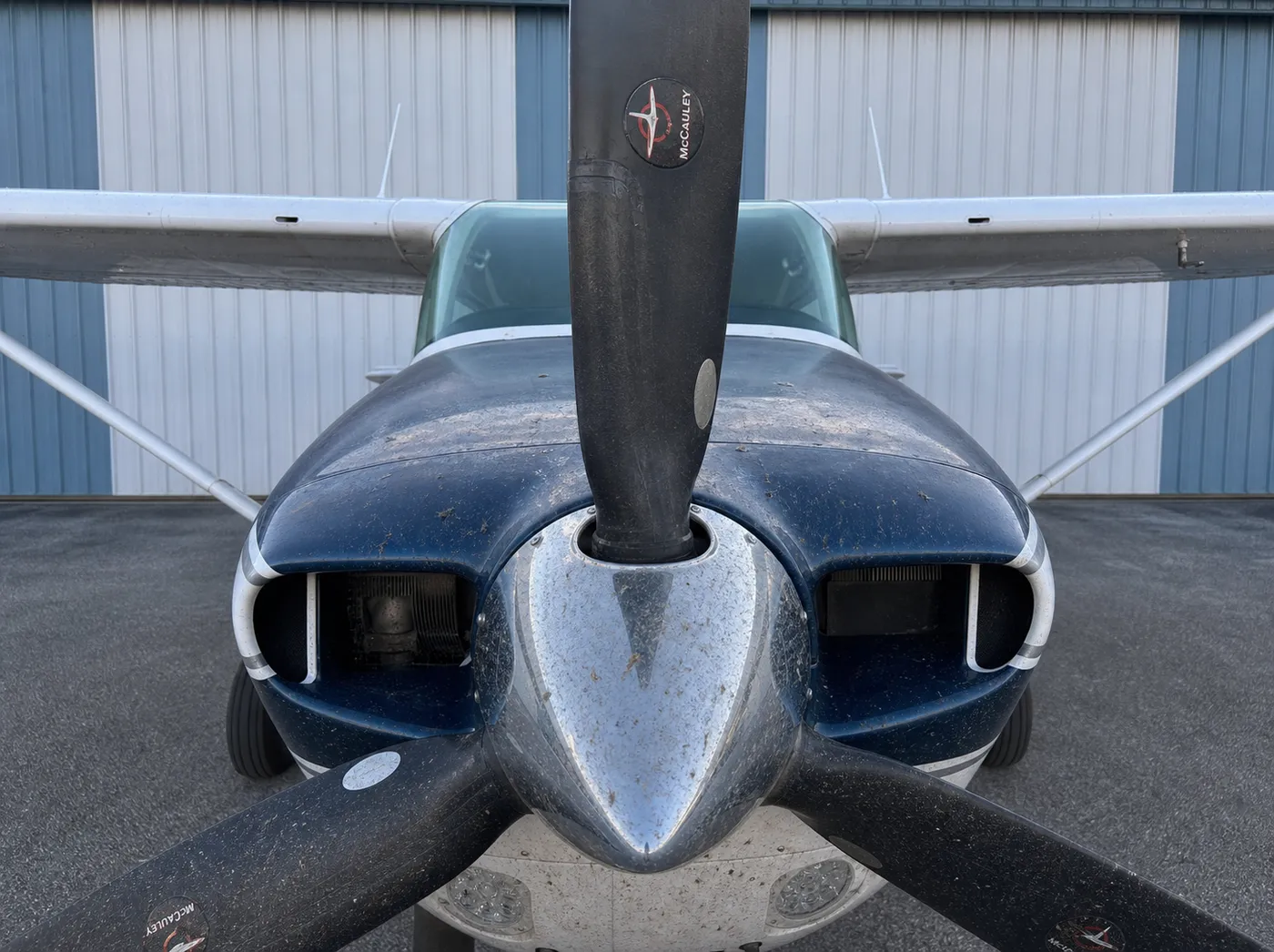 Aircraft nose before detailing: dull paint, bug splatter and water spots